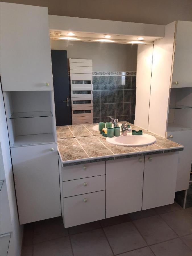 Appartement Le Marronnier à Niozelles Extérieur photo